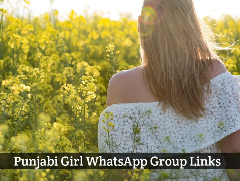 2500+ Punjabi Girl WhatsApp Group Links 2025